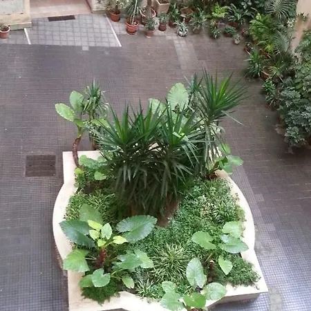 Aloha Frühstückspension