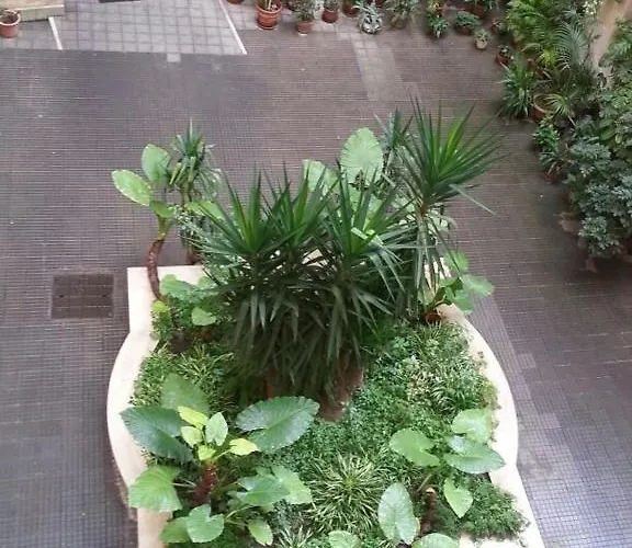 Aloha Nocleg ze śniadaniem